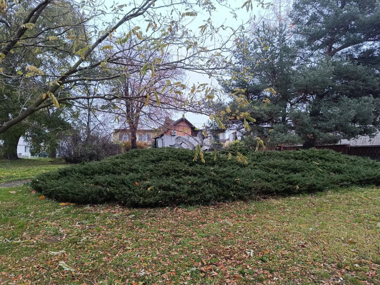 Foto - bývalý hřbitov