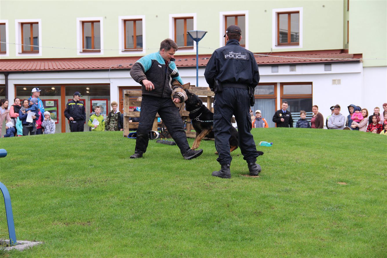 Ukázka zásahu vycvičeného psa