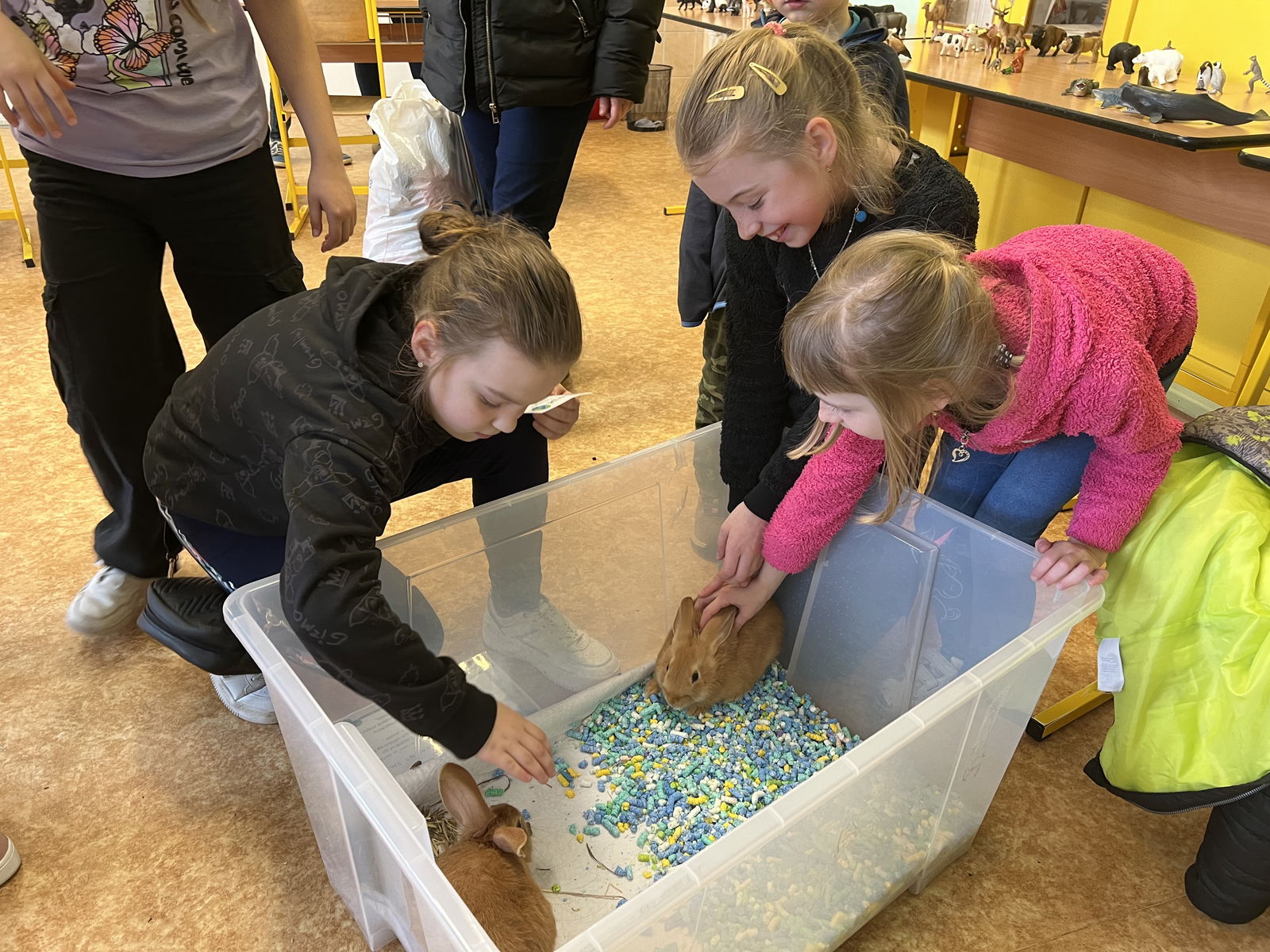 Den Země na ZŠ Dr. Joklíka