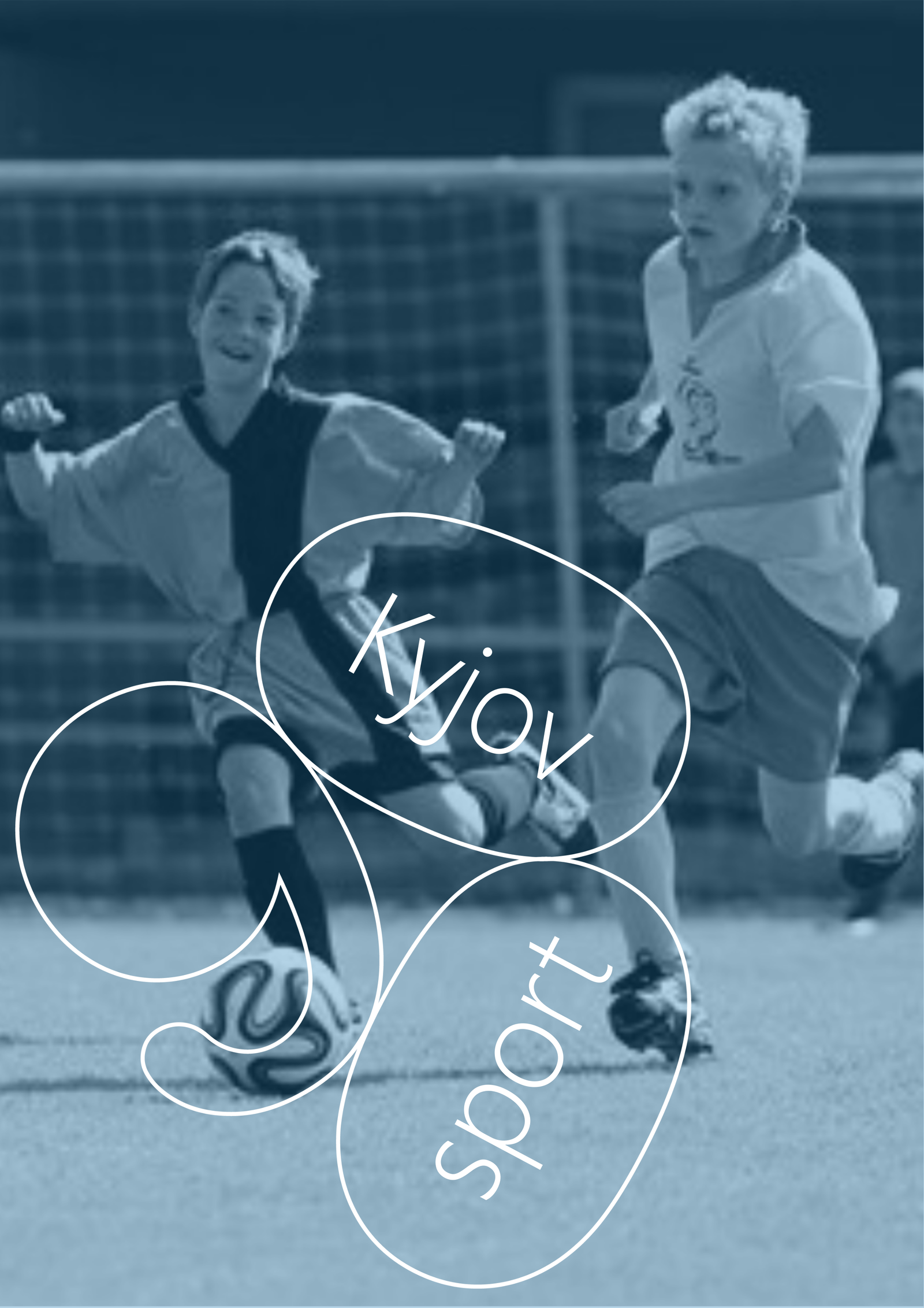 sport 900 web light blue