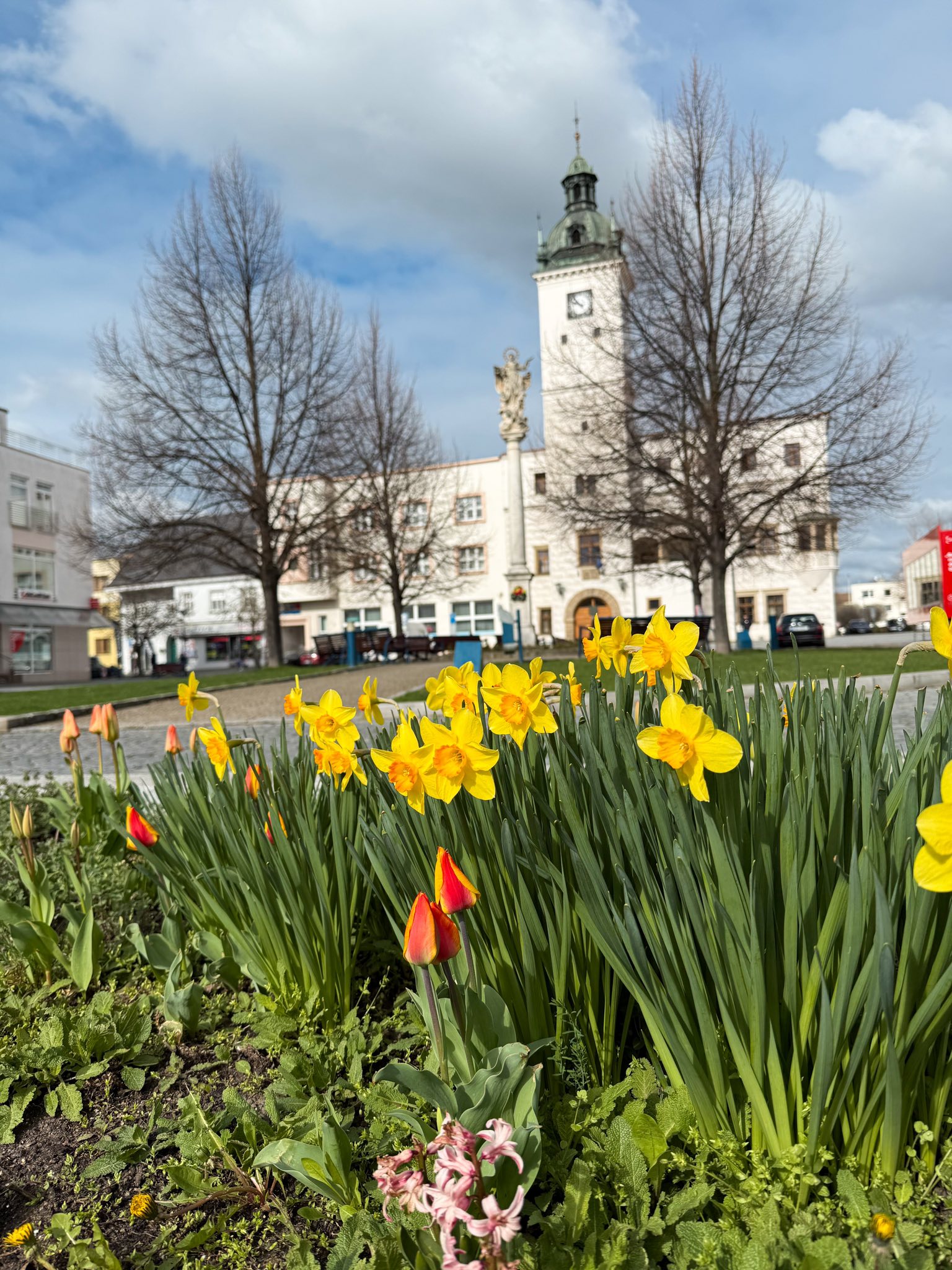 490298216_1103335365164534_6559753569588814434_n