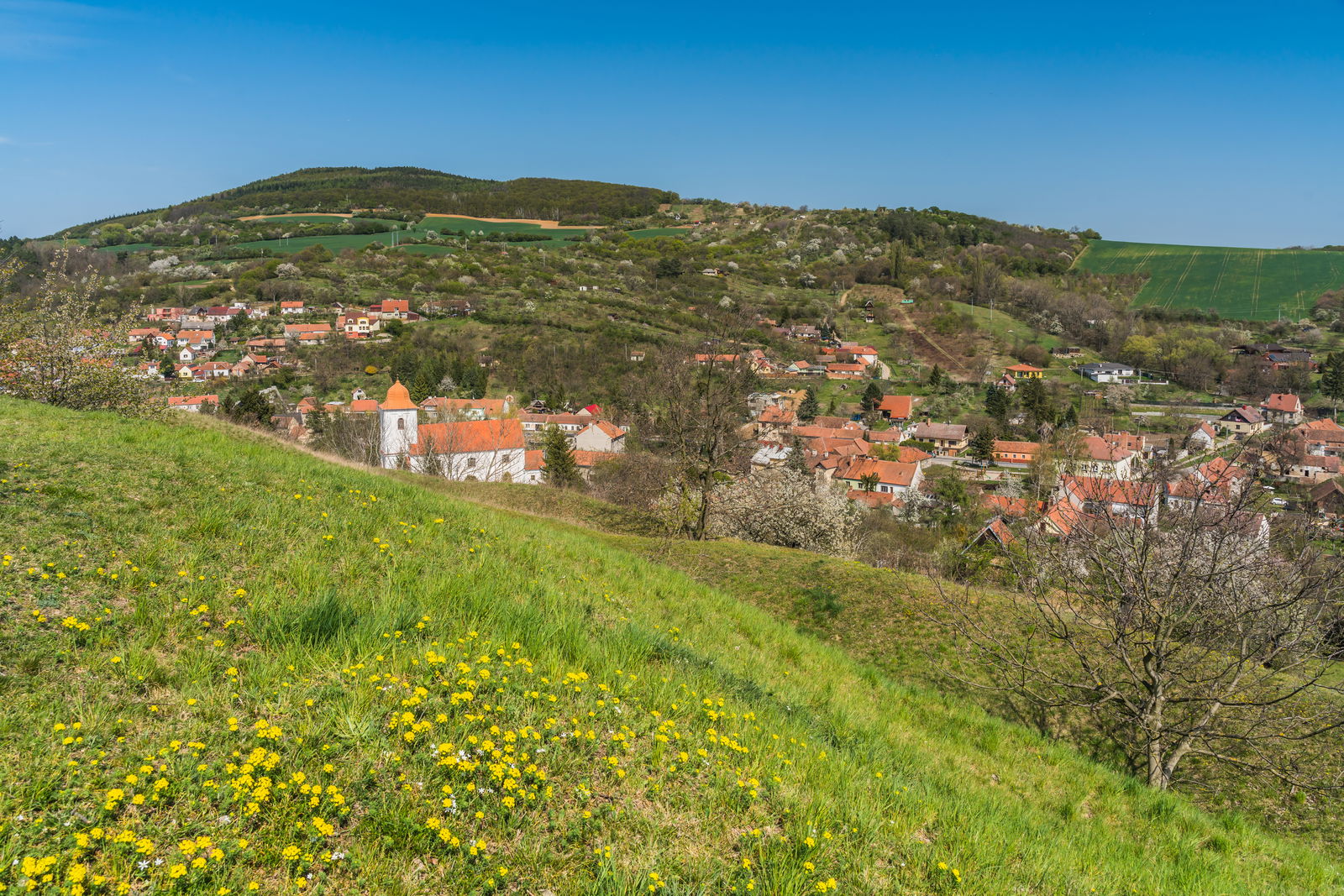 PP Bohuslavické stráně