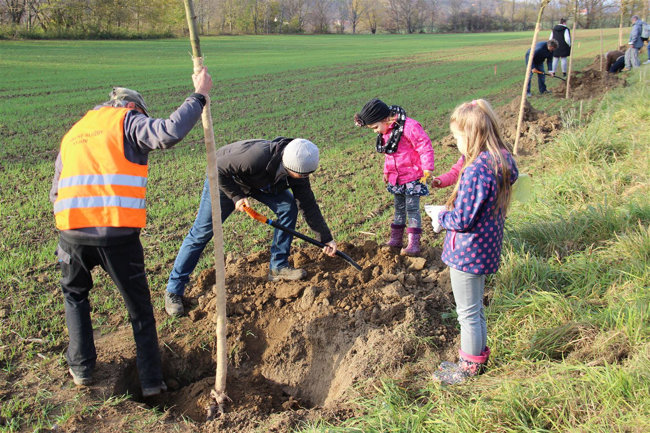 Kyjovská alej života