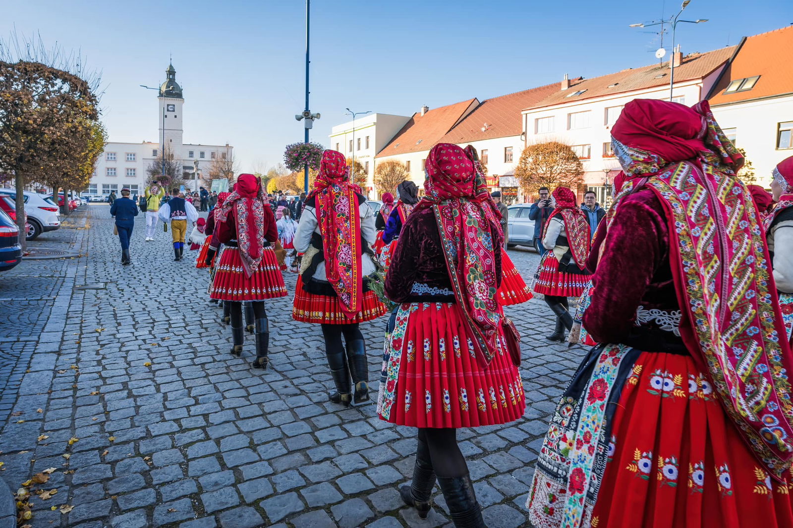 467407335_992389156259156_4832804936004040836_n