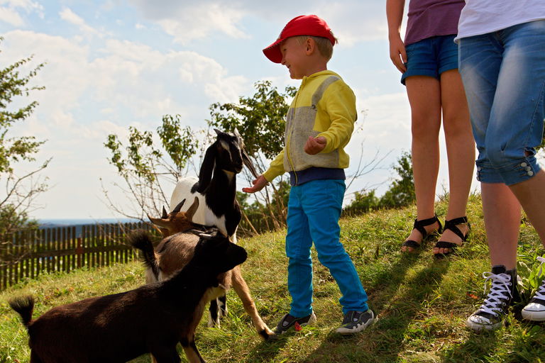 Výlety, dětská hřiště a podniky