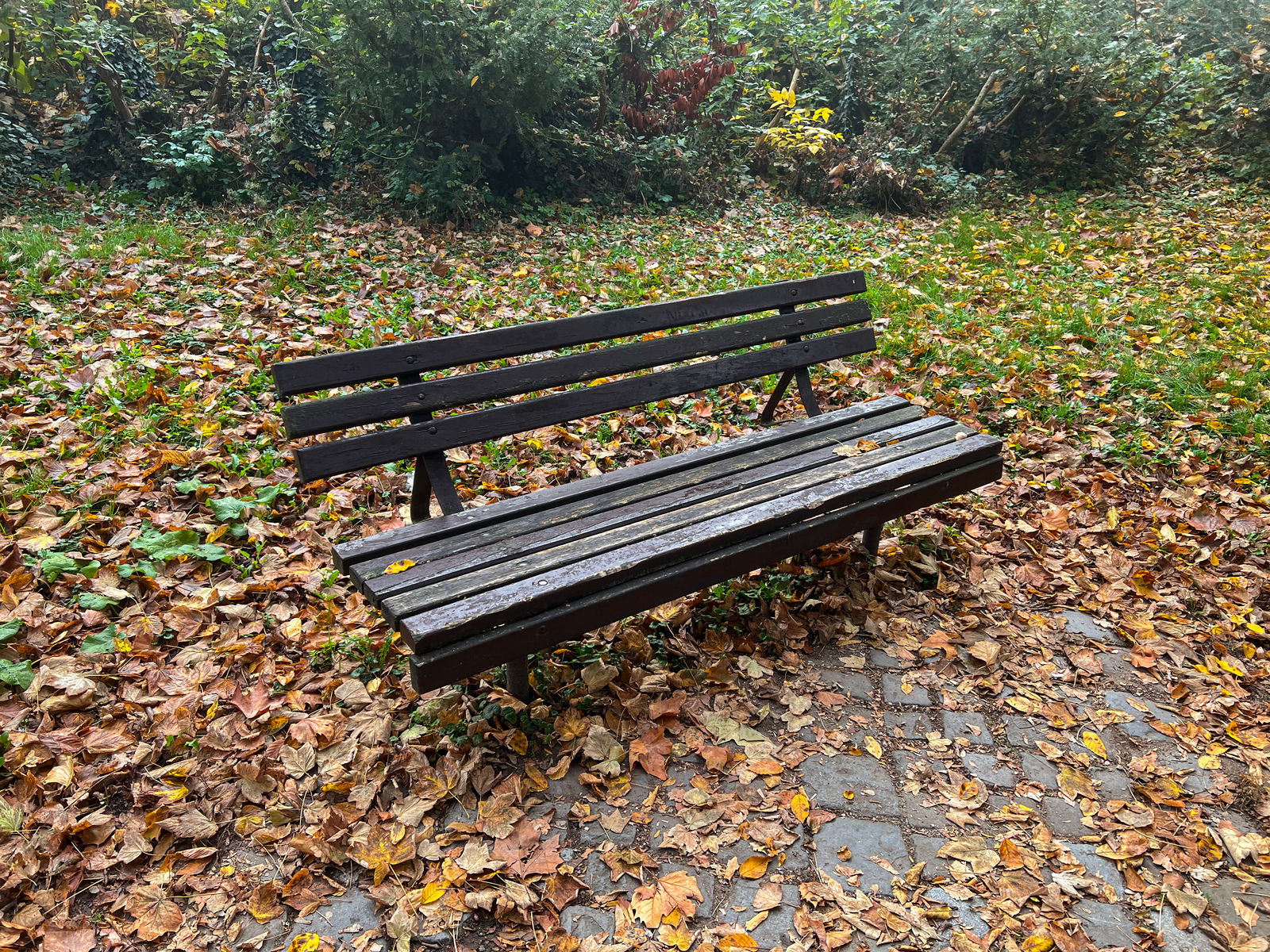 Stará dřevěná lavička