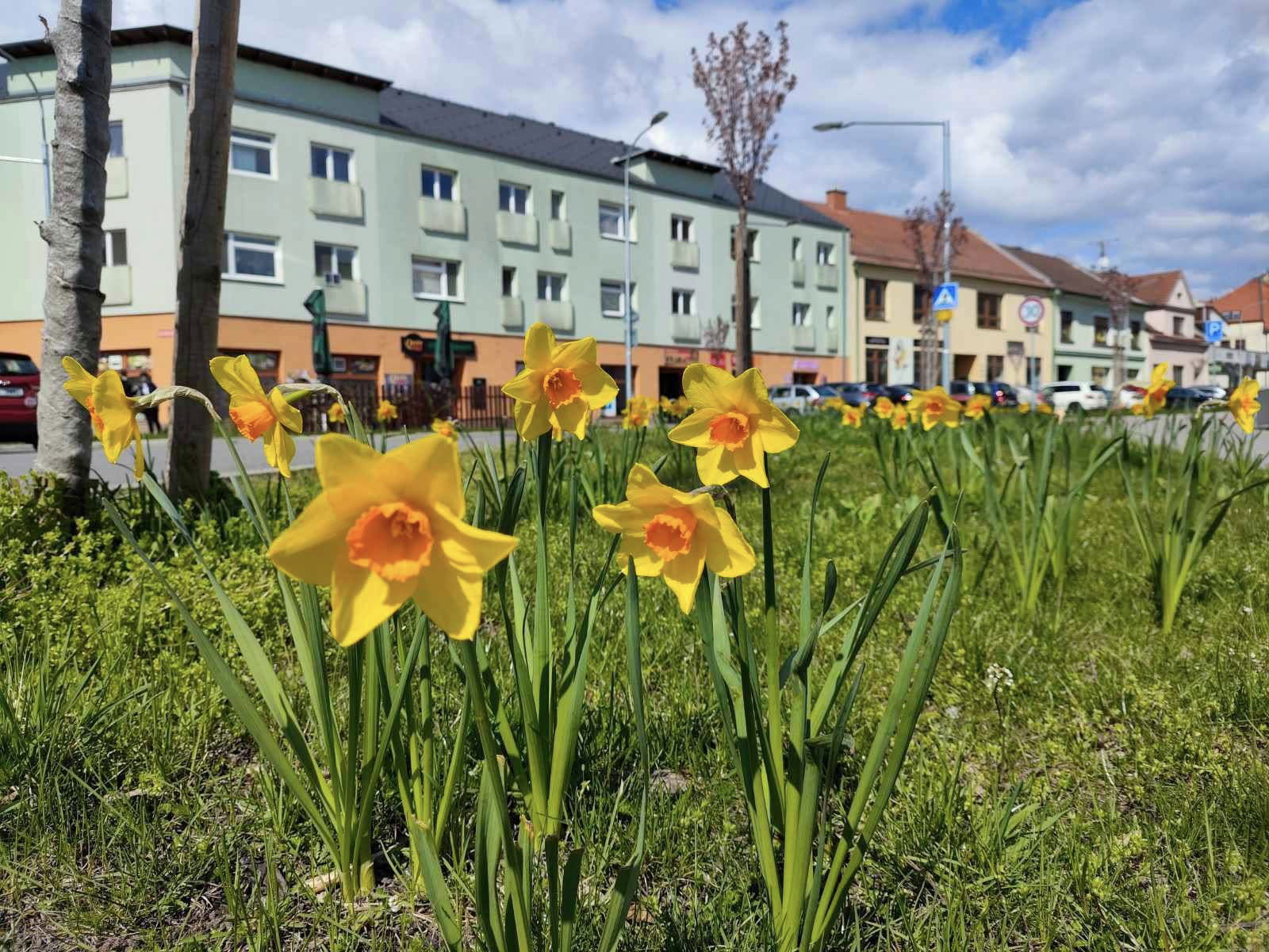 490894078_1103335308497873_7973796859391154516_n