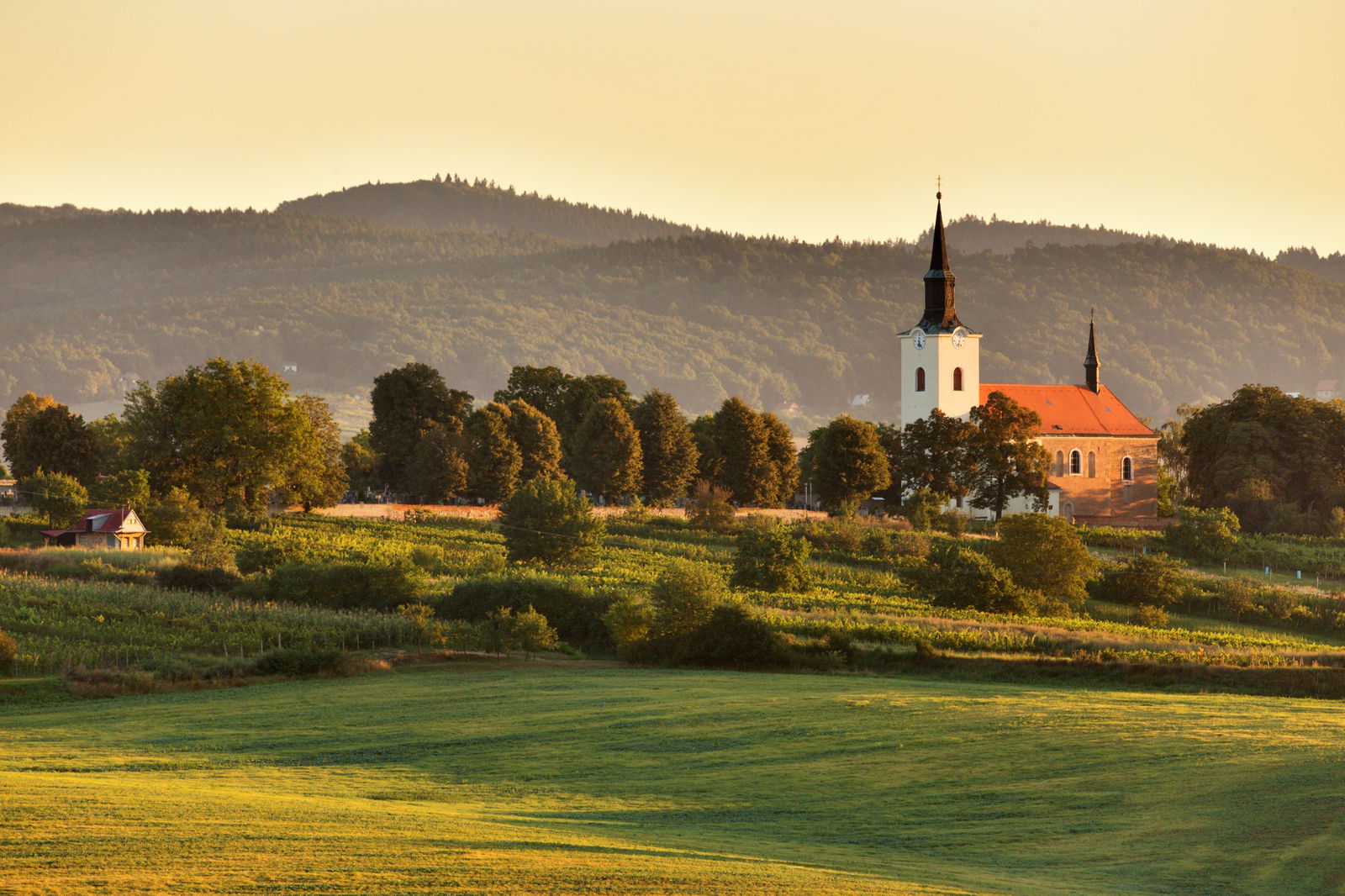 Kostel sv. Václava v Kostelci