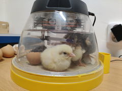 87015028-3ac7-4a4a-927c-015e8d4e1a62