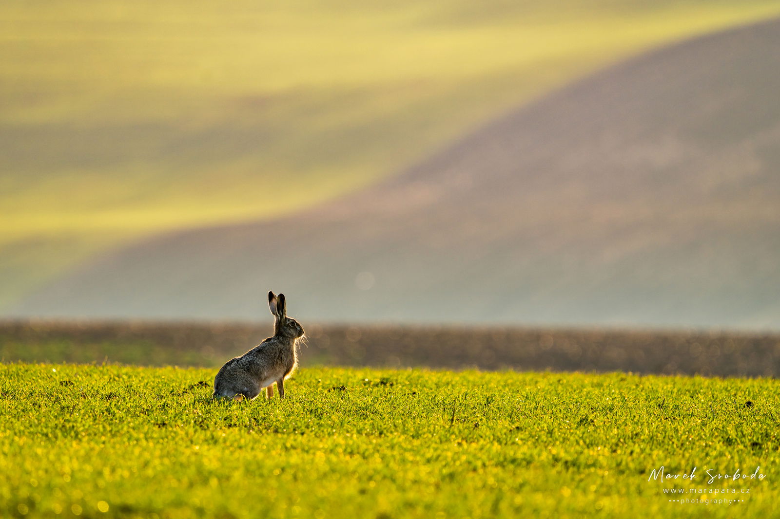 Moravské Toskánsko