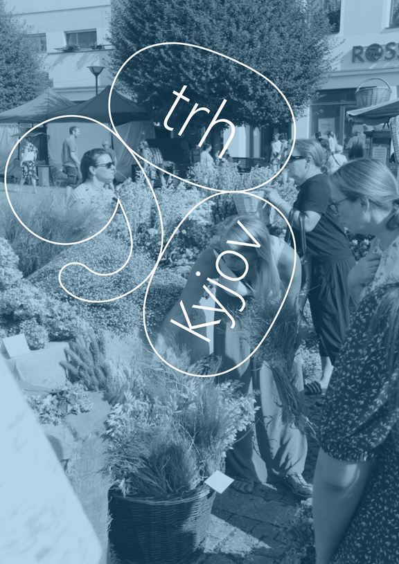 trh 900 web blu light