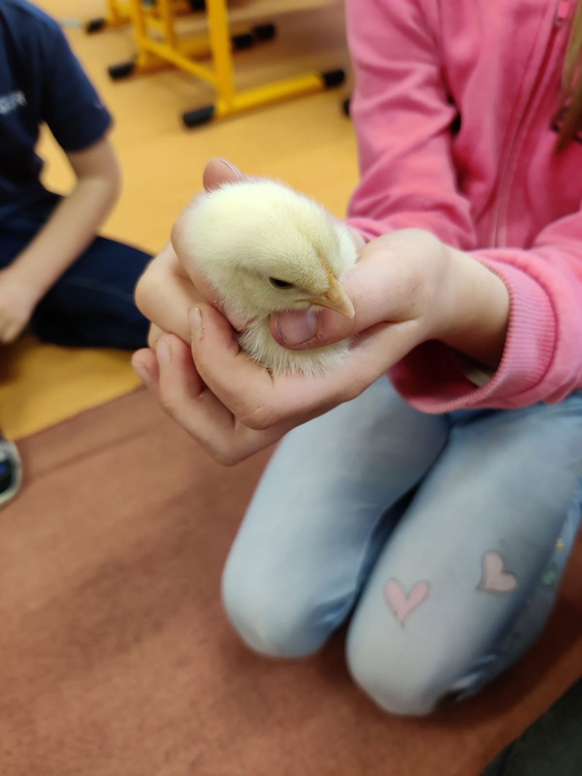 9601a0cf-75f1-4a7d-bef7-12db6ba8c500