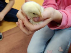 9601a0cf-75f1-4a7d-bef7-12db6ba8c500