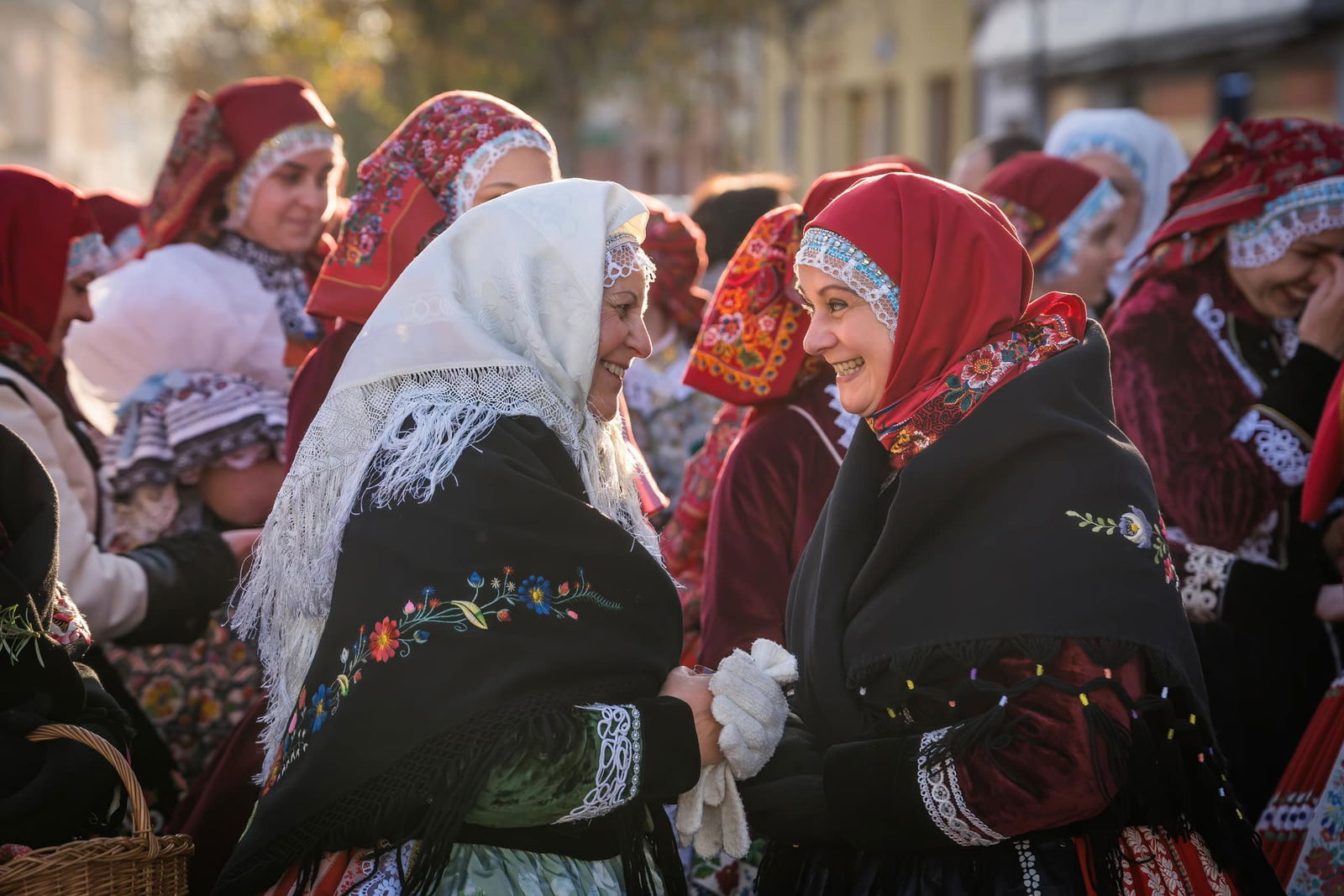 467393723_992389122925826_2408218106164643441_n