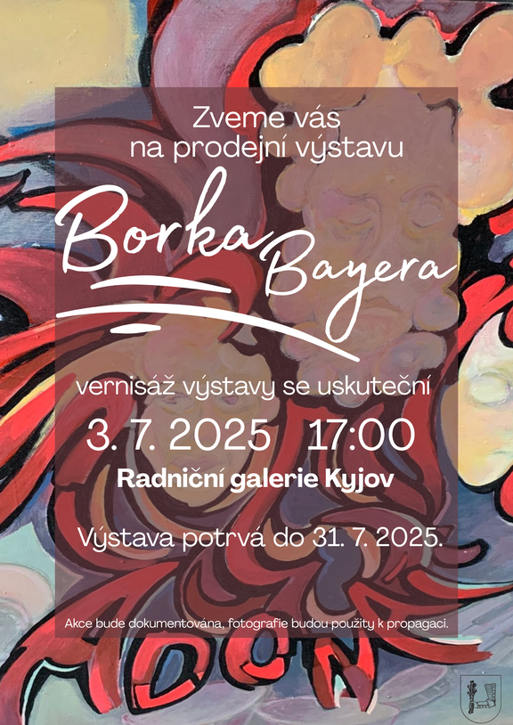Borek Bayer 2