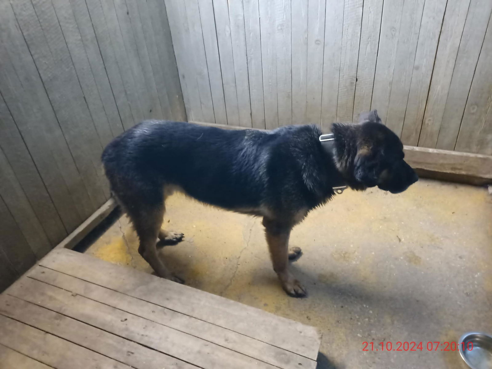 464152223_970914695073269_2015878768180807068_n