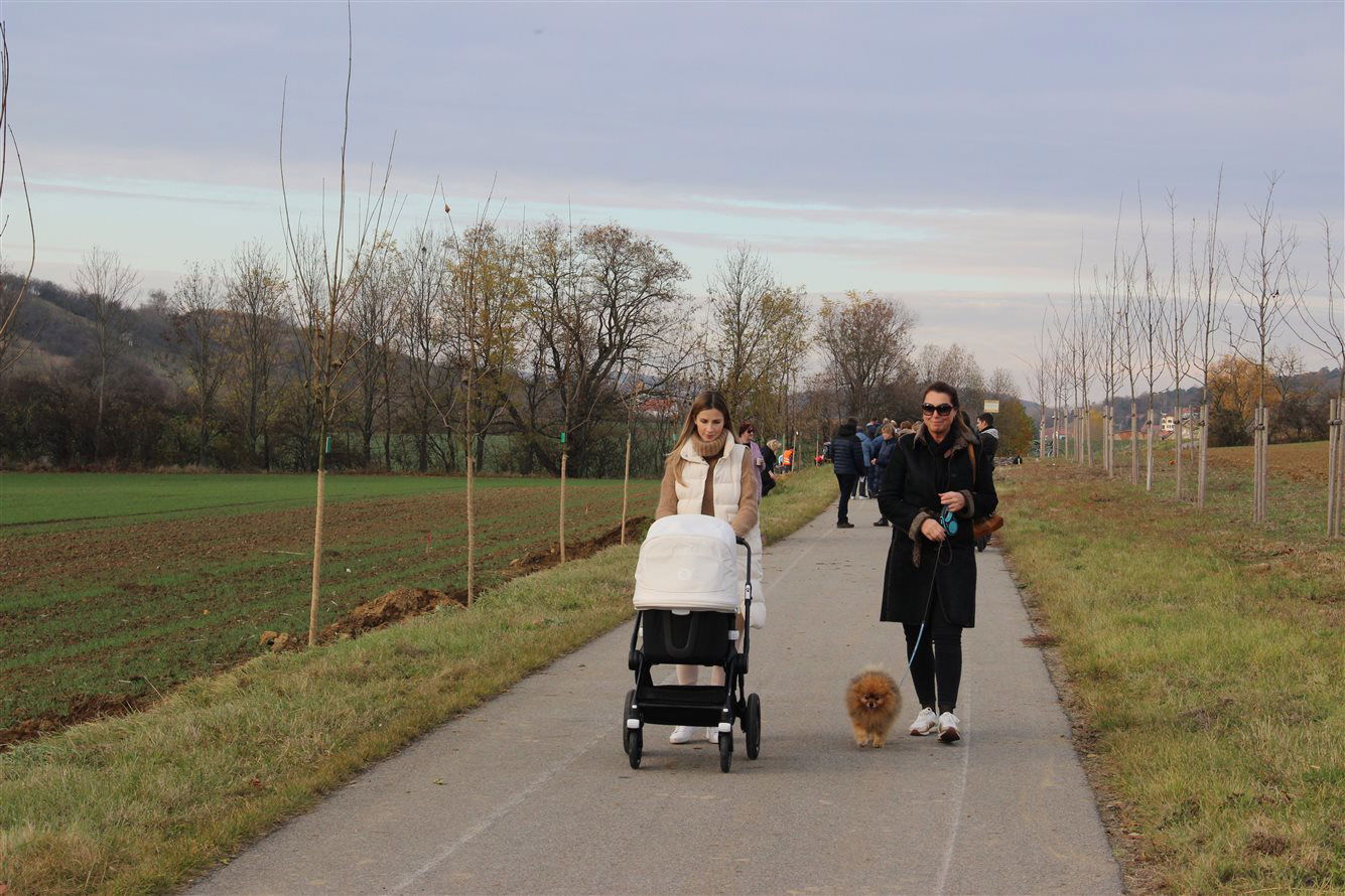 Kyjovská alej života