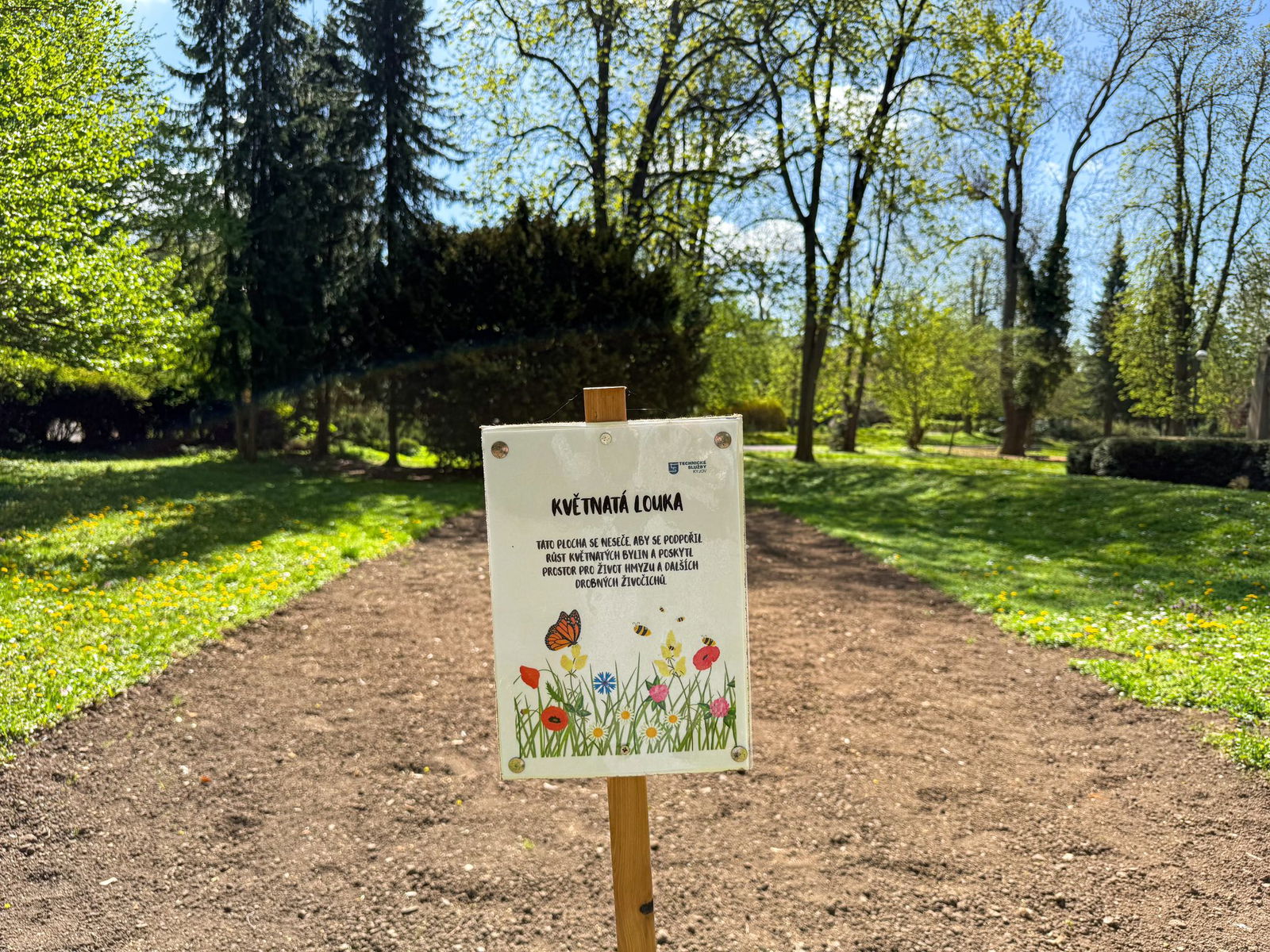 492313621_1113123157519088_3498341524471611201_n