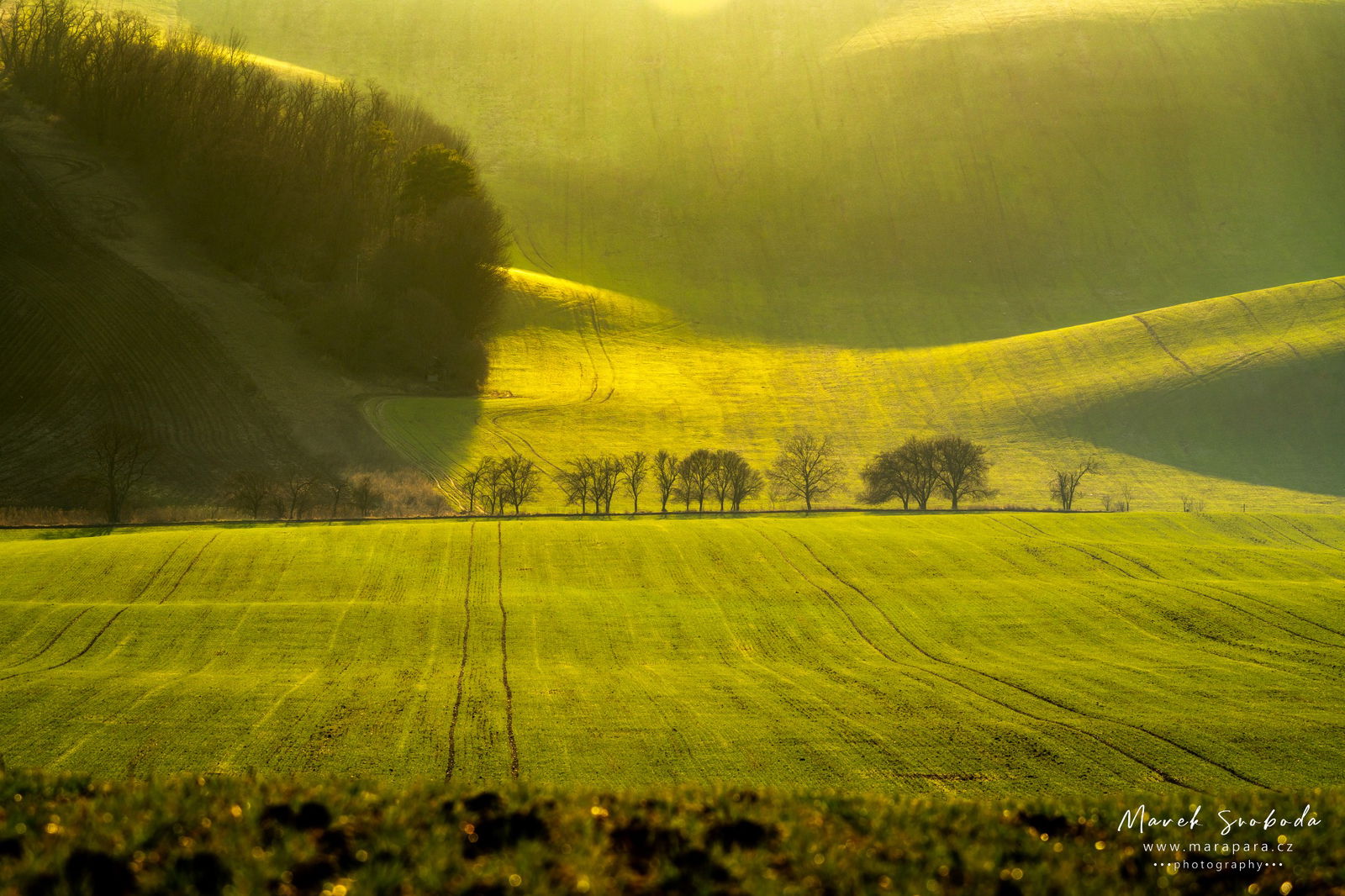 Moravské Toskánsko