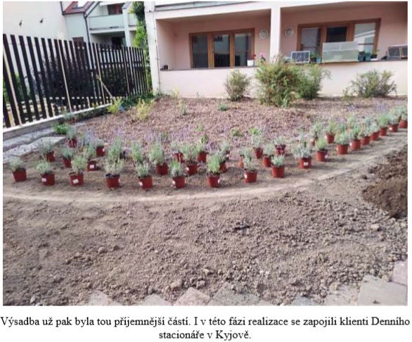 Zasazení nových rostlin