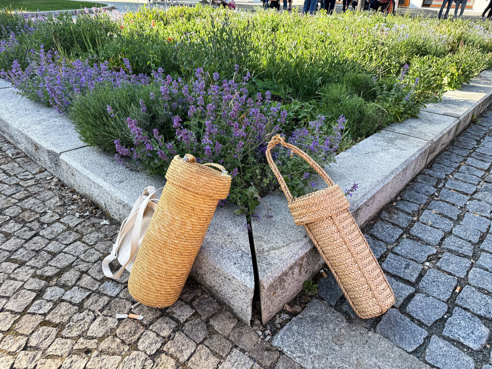 494383547_1118952143602856_66341141271064817_n