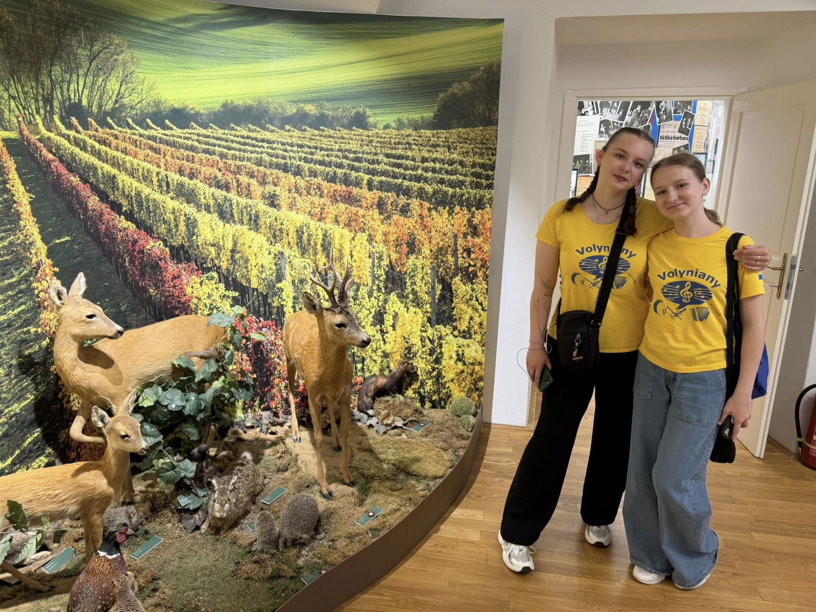 513306466_1163564302474973_212100122116132174_n