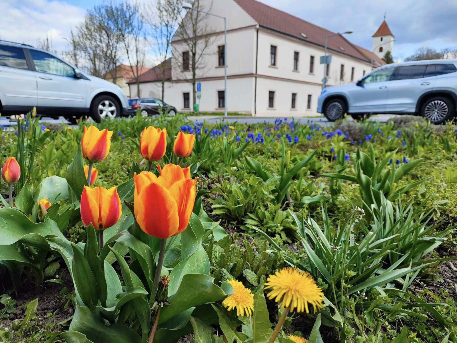 490035966_1103335371831200_1017729835601098662_n