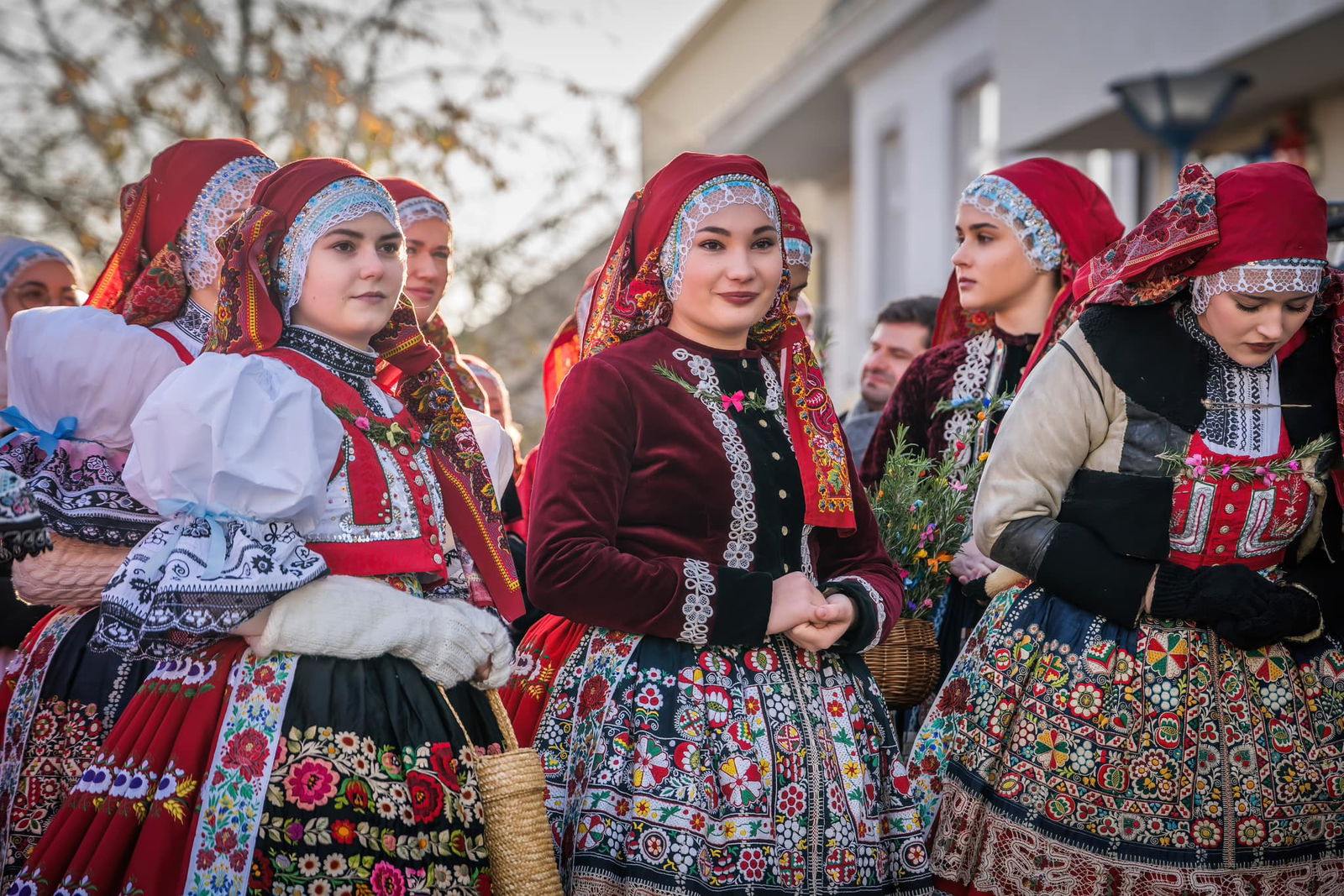 467401433_992388189592586_4329645870842446909_n