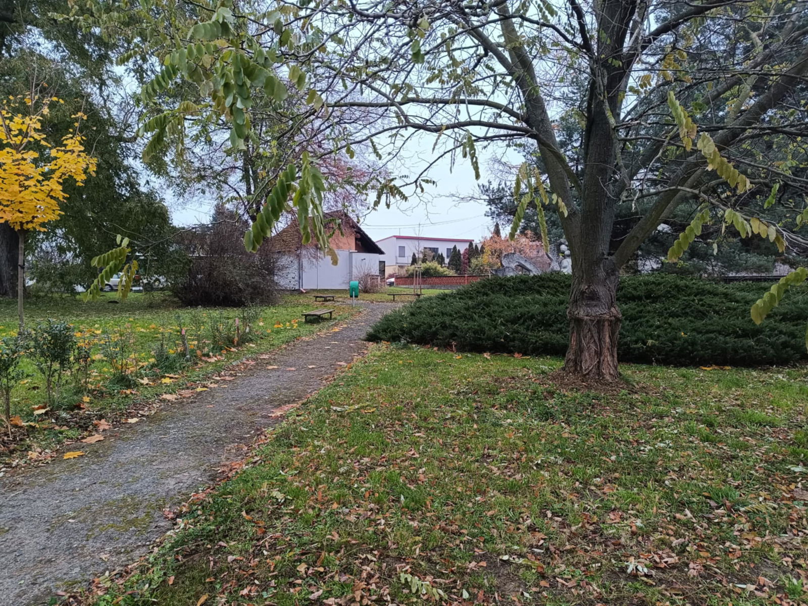 Foto - bývalý hřbitov 2