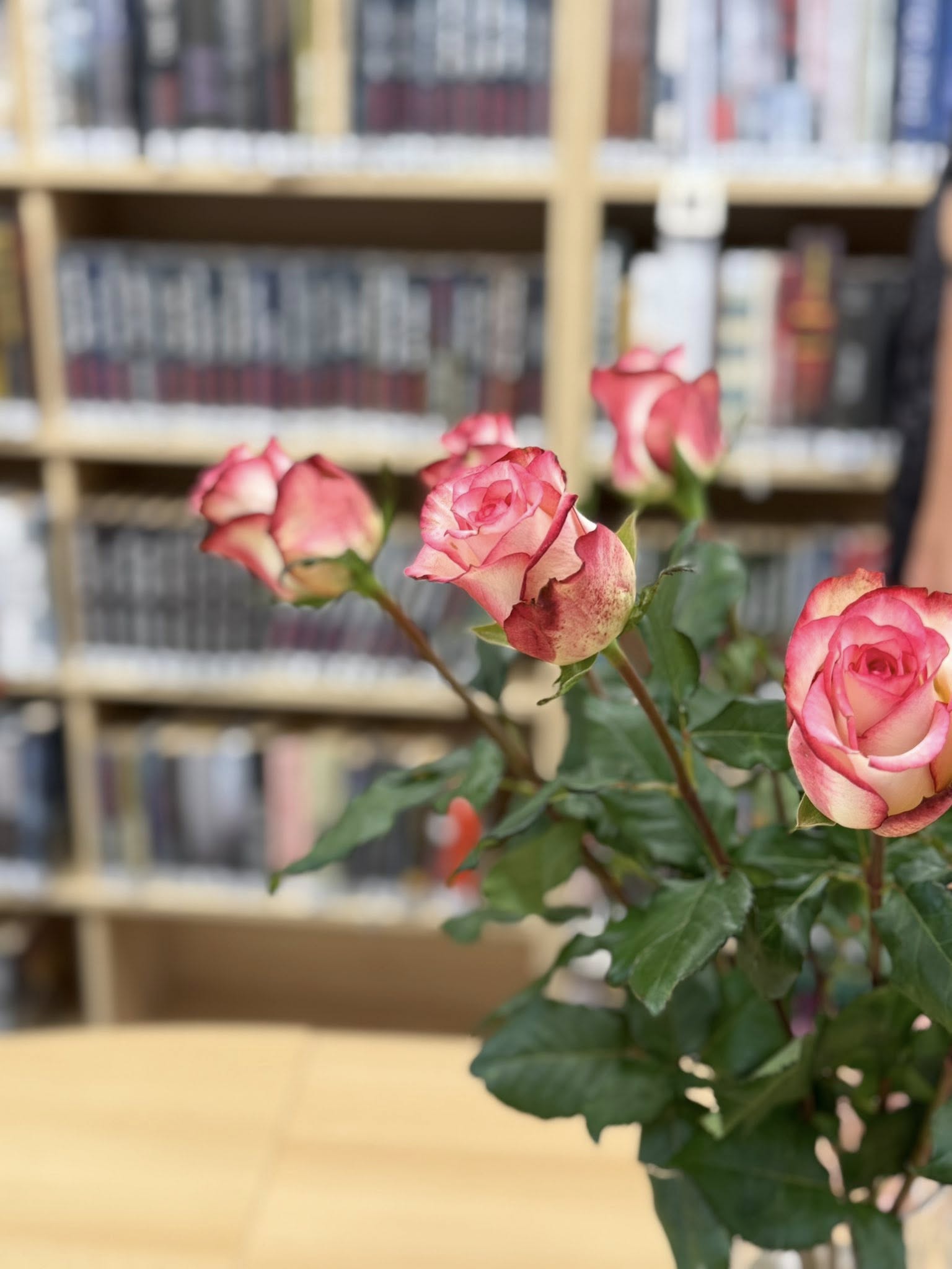 510442687_1156777546486982_9205285379896891598_n