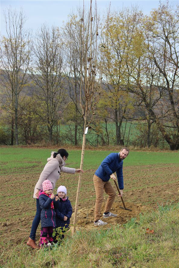 Kyjovská alej života