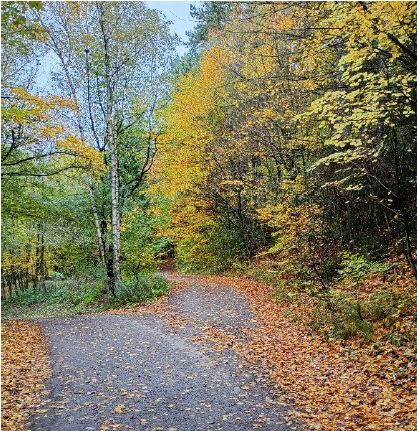 Snímek obrazovky 2025-10-27 115815