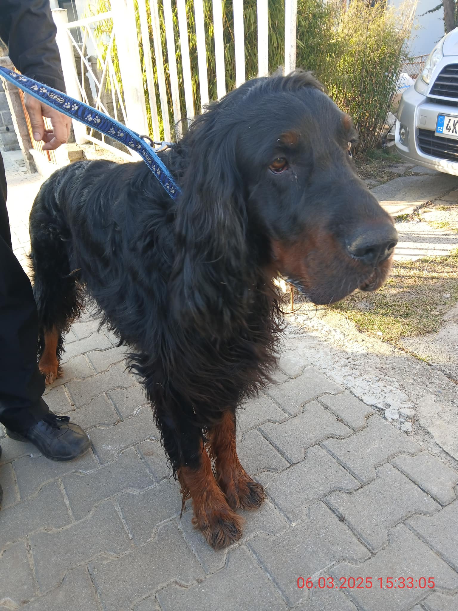 481770683_1072942144870523_8562319376296754199_n