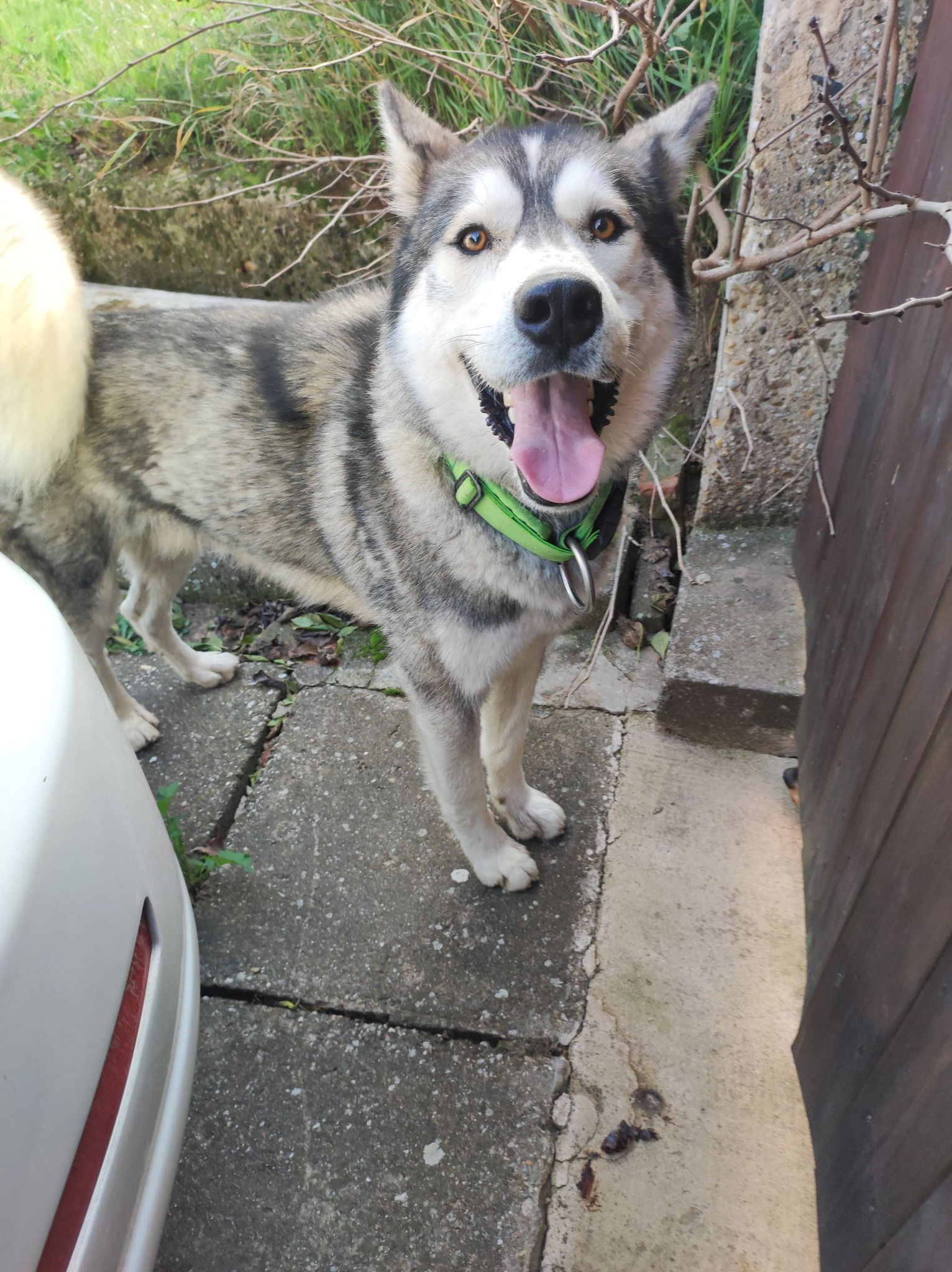 461854077_961285956036143_2216162691310745598_n