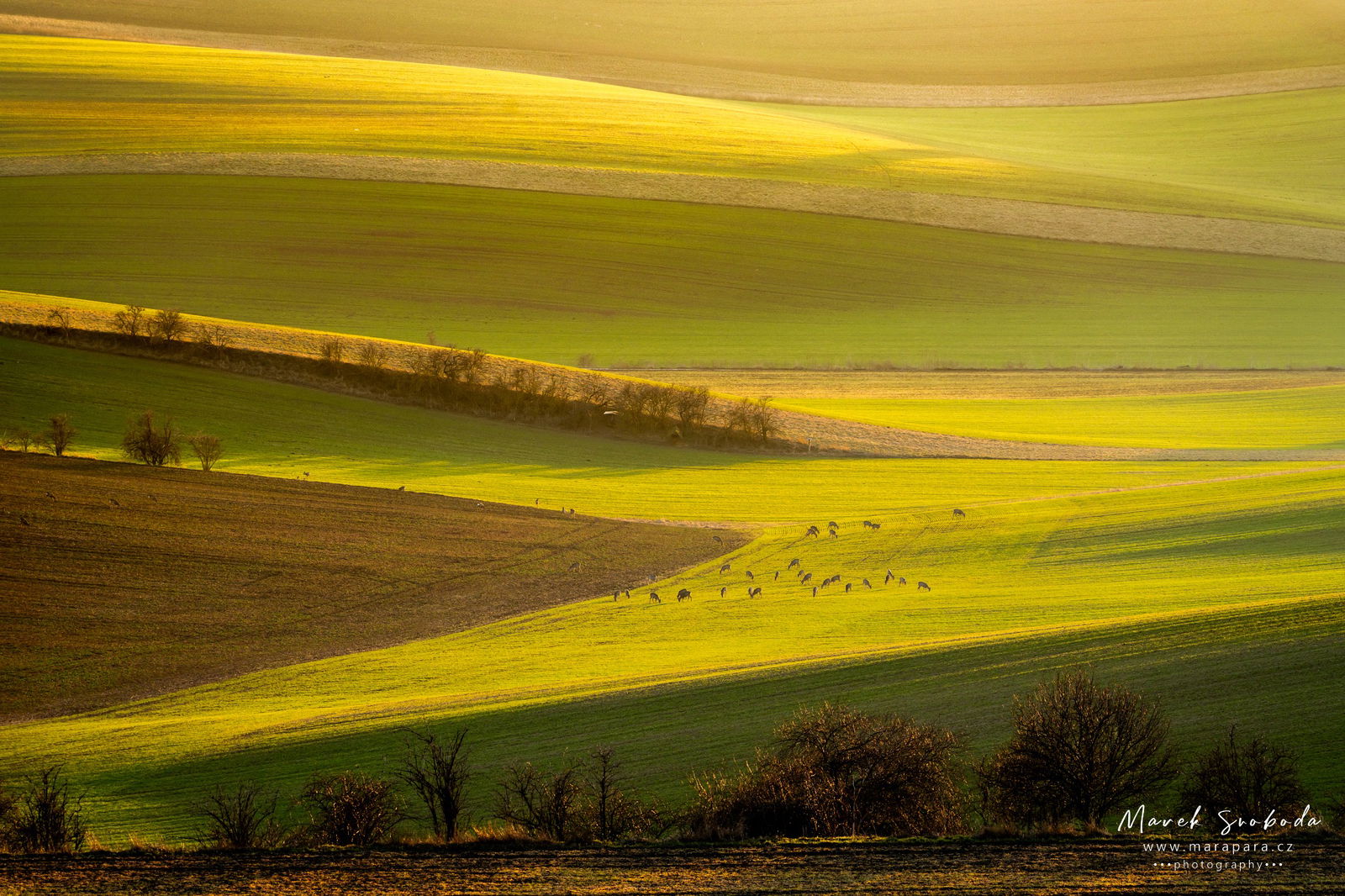 Moravské Toskánsko