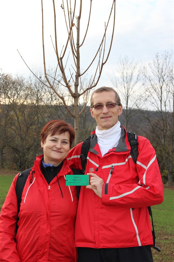 Kyjovská alej života