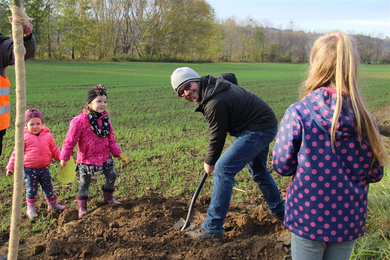Kyjovská alej života