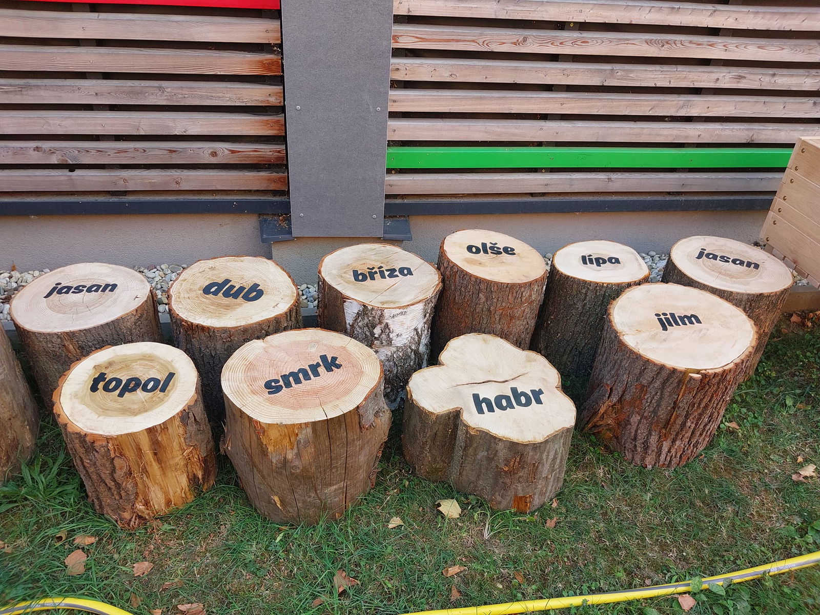 457724389_1040722891389903_1236539924594681223_n