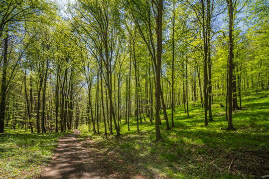 Přírodní park Ždánický les