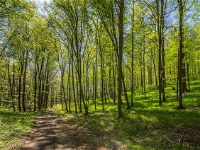Přírodní park Ždánický les