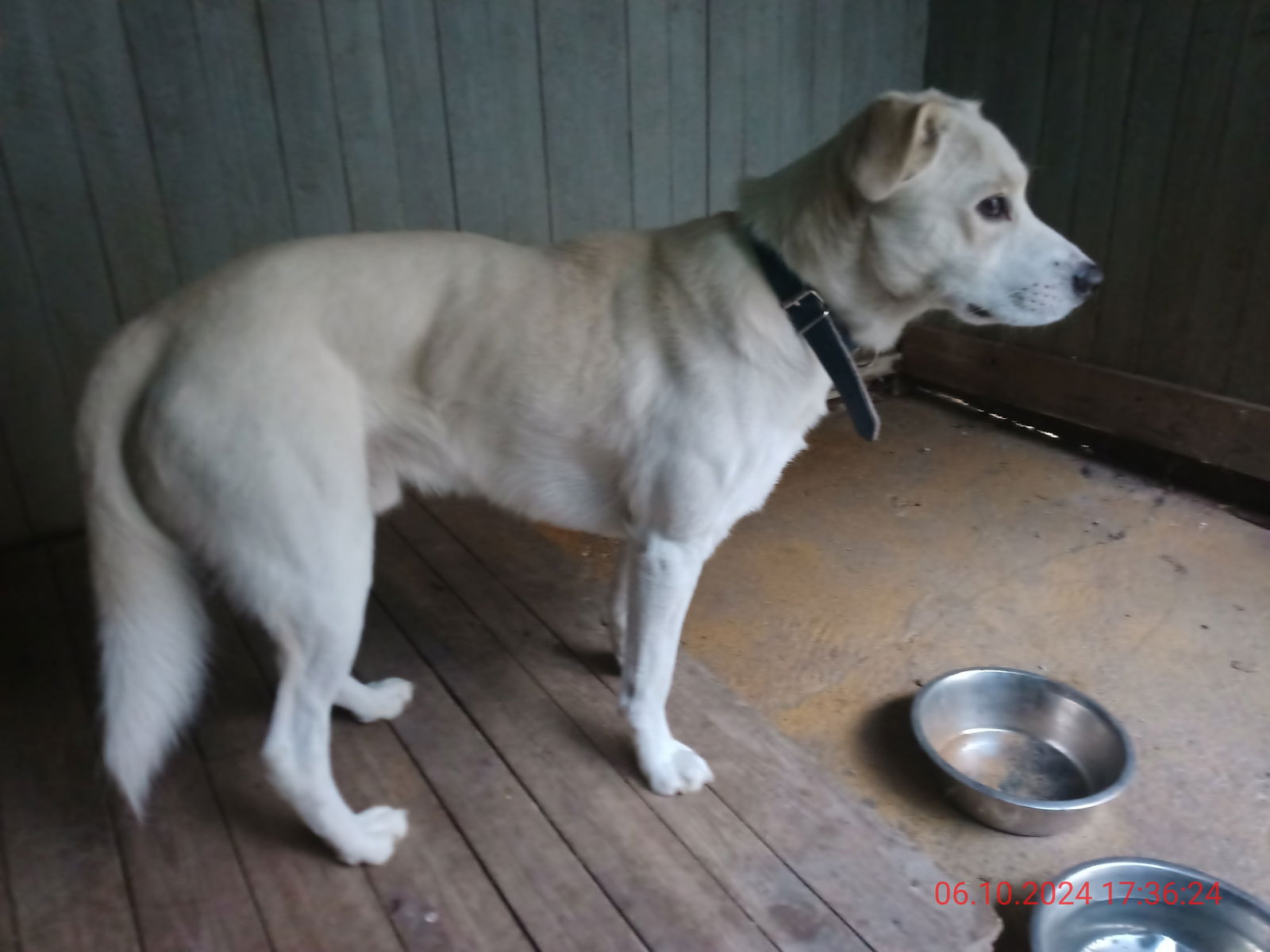 IMG_20241006_173551_881