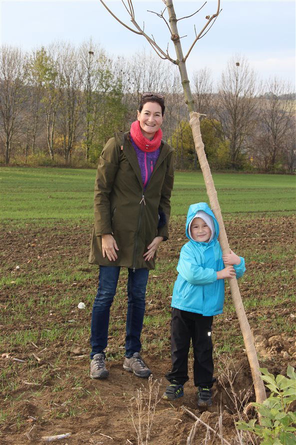 Kyjovská alej života