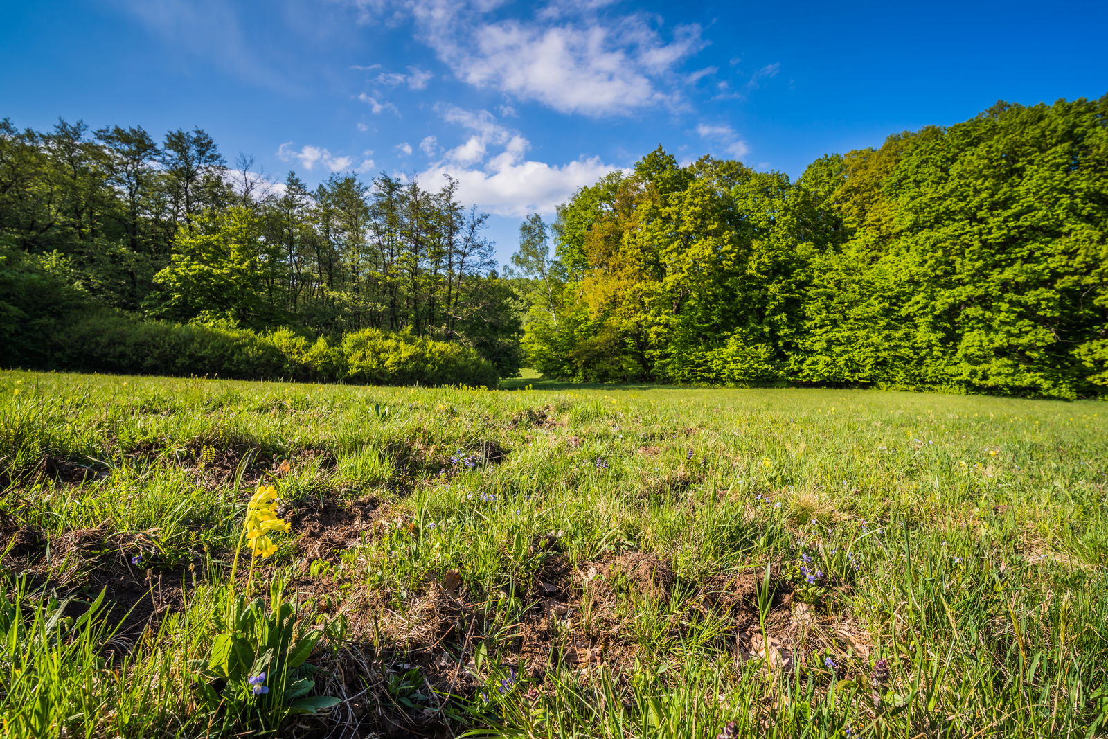 PR Moravanské lúky