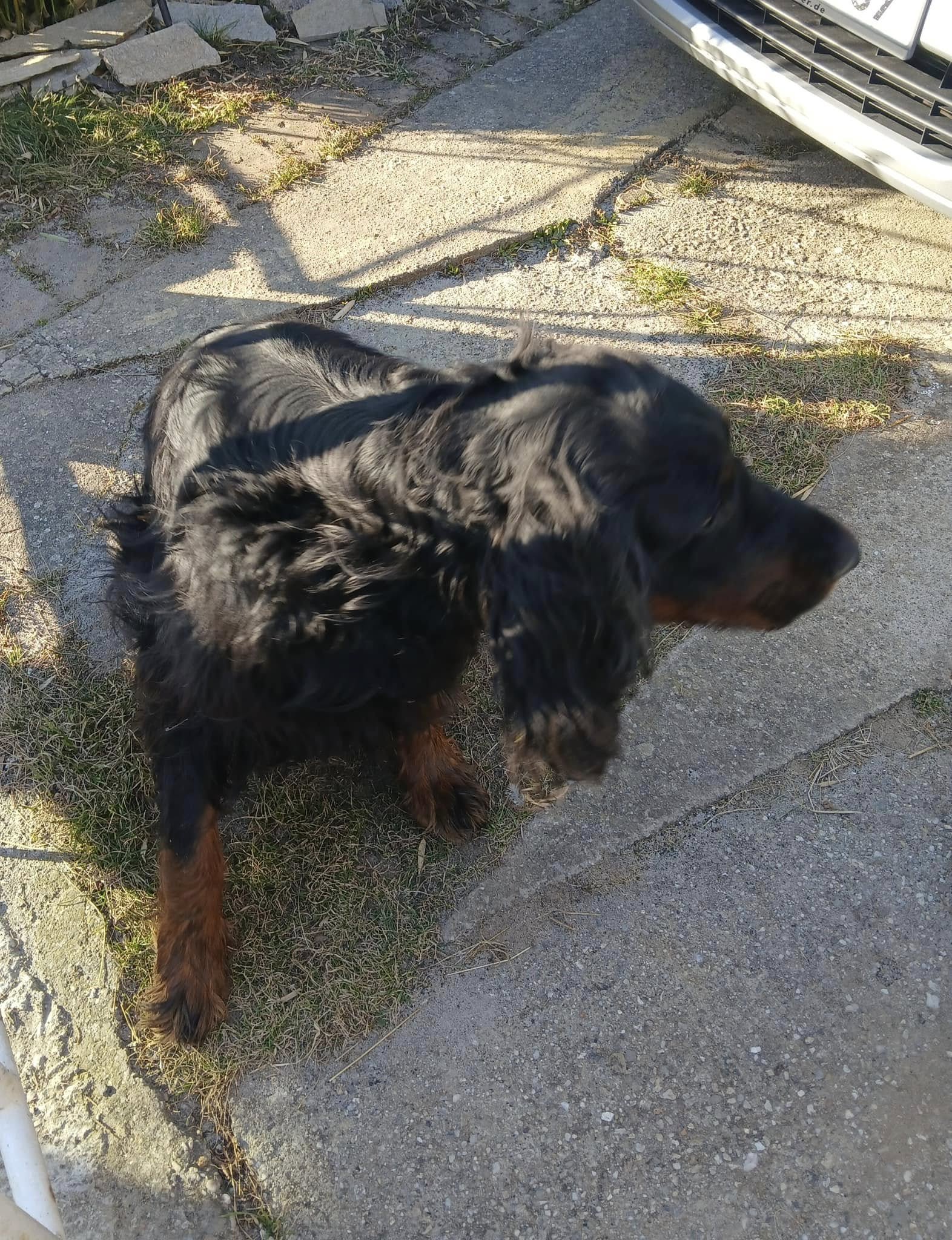 481996311_1072942158203855_7182906050495975572_n