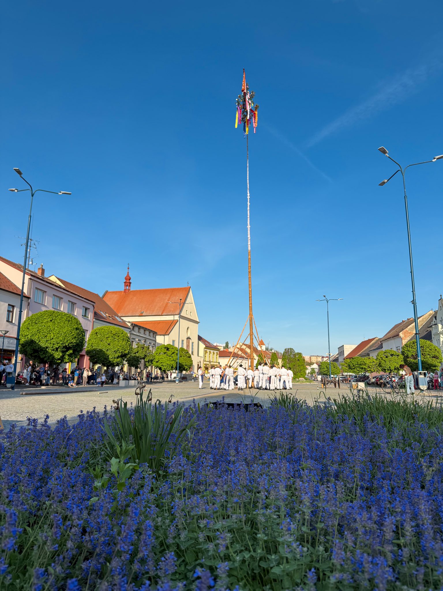 494510143_1118952296936174_7450428597194028052_n