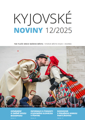 Snímek obrazovky 2025-12-12 134449