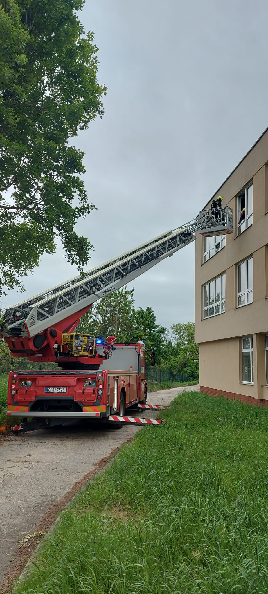 IMG-20240503-WA0035 (002) - kopie