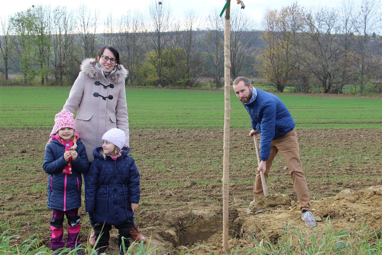 Kyjovská alej života