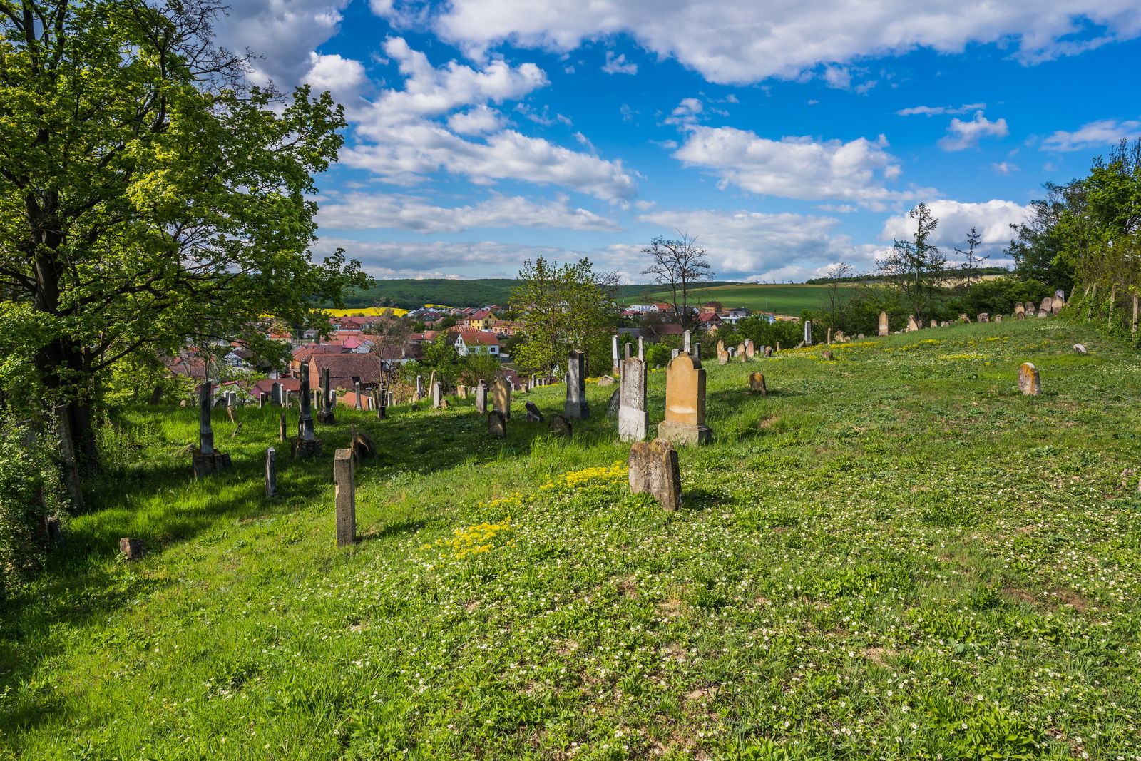 Židovský hřbitov v Dambořicích