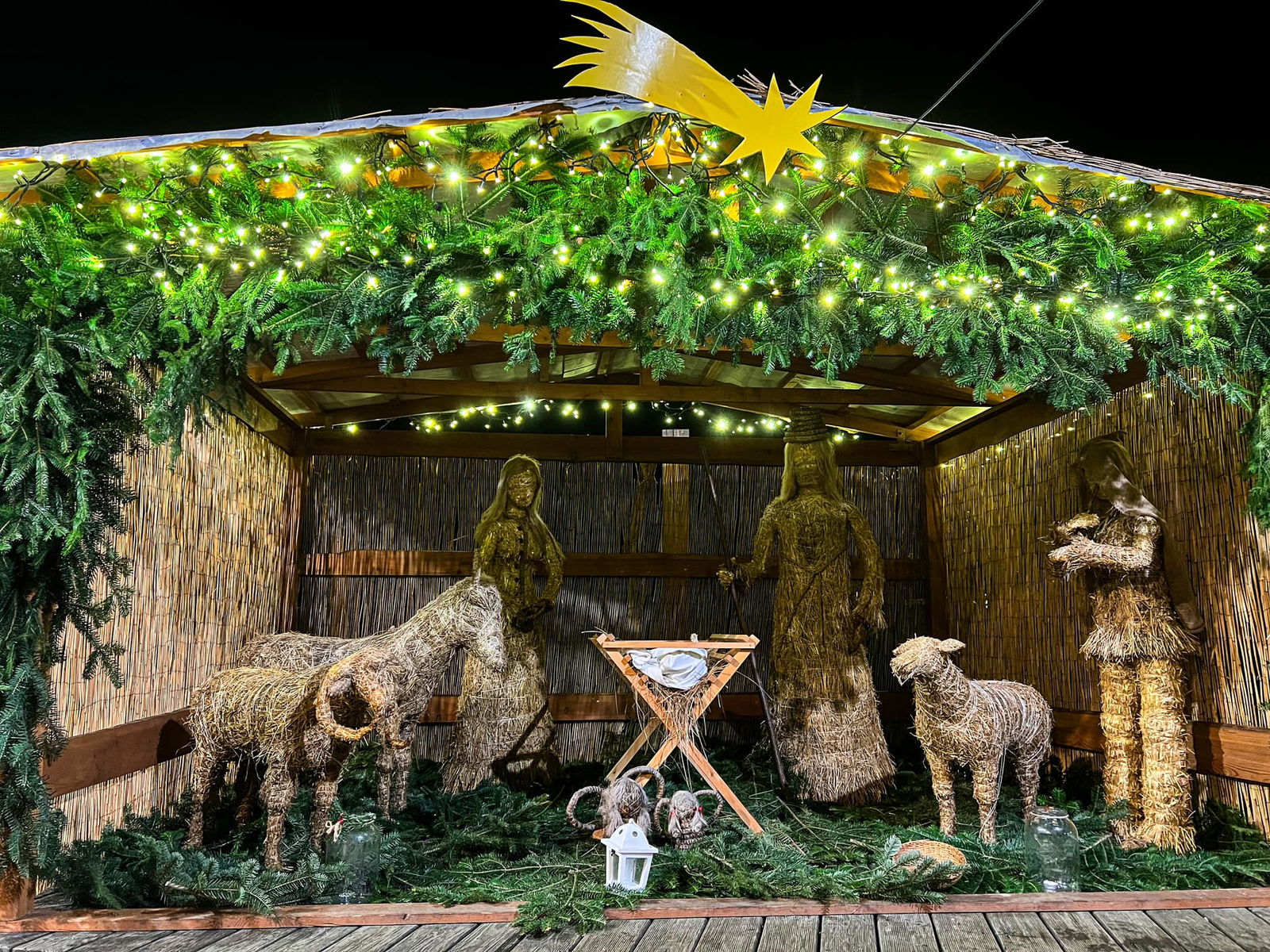 471338963_1018543563643715_8693343615376959449_n